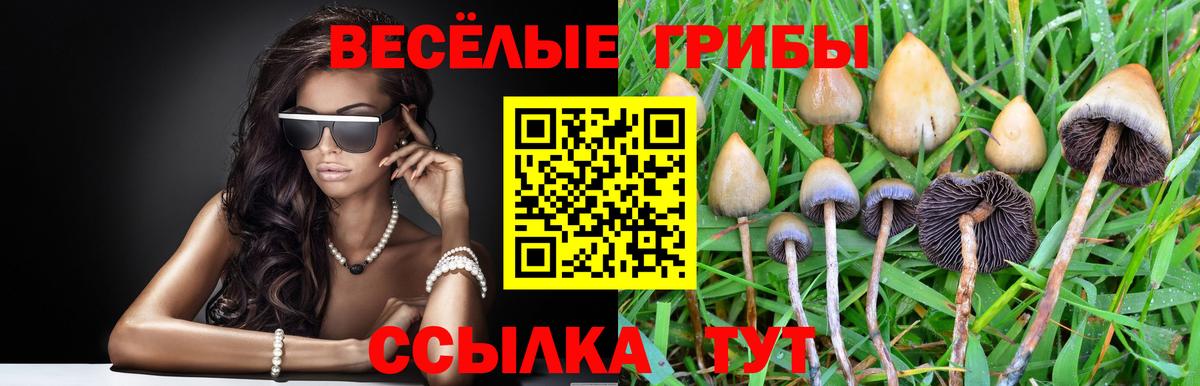 Галлюциногенные грибы GOLDEN TEACHER  Вход с VPN  Чайковский 